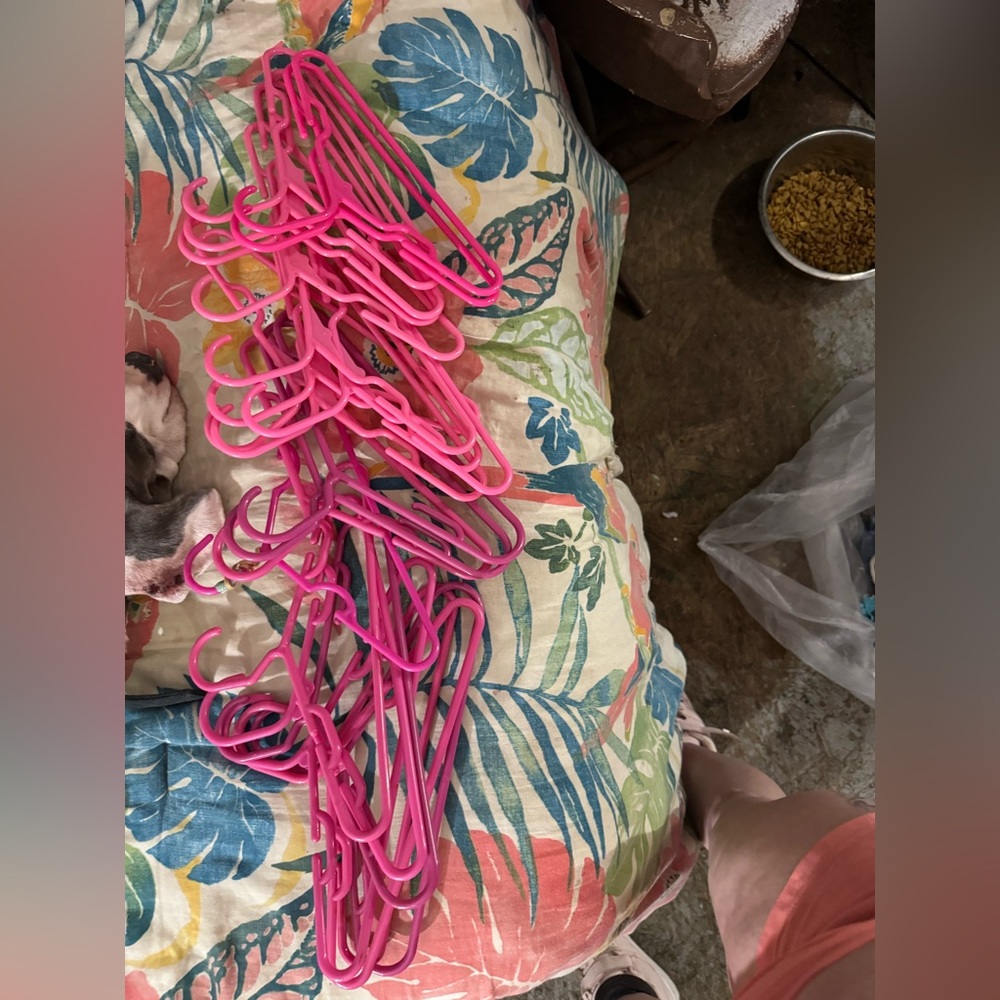 Hot Pink Hangers (Set Of 23)
